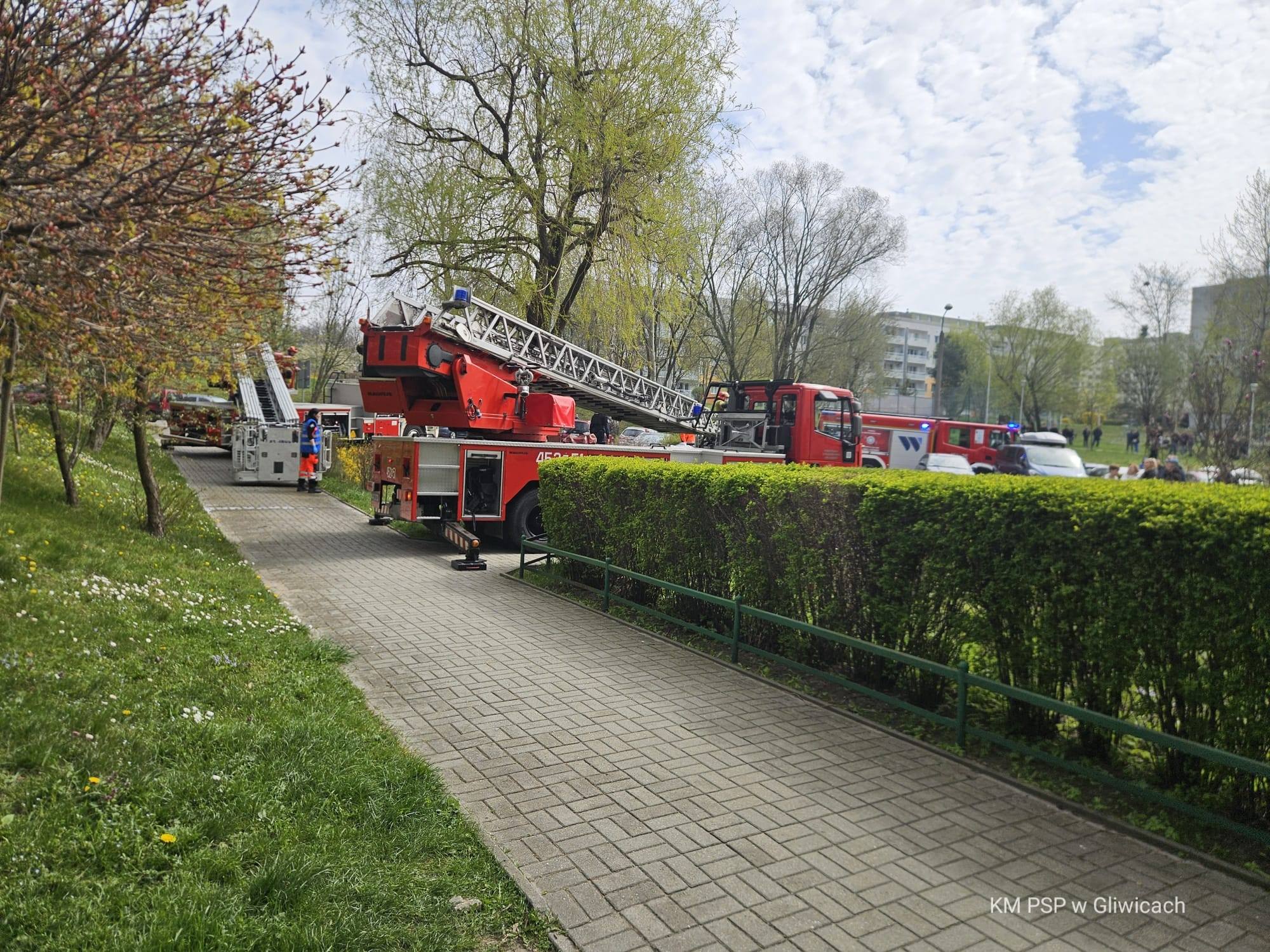 668824929_1393259642942509_1120341432996314540_n