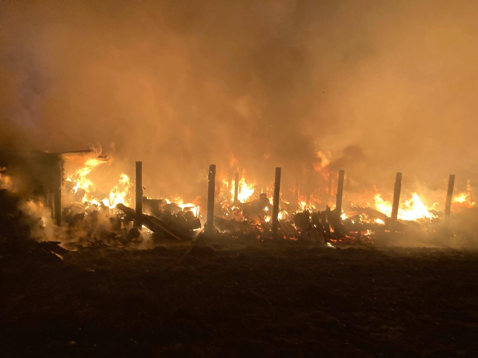 669063626_1269006522074696_701047078542797385_n