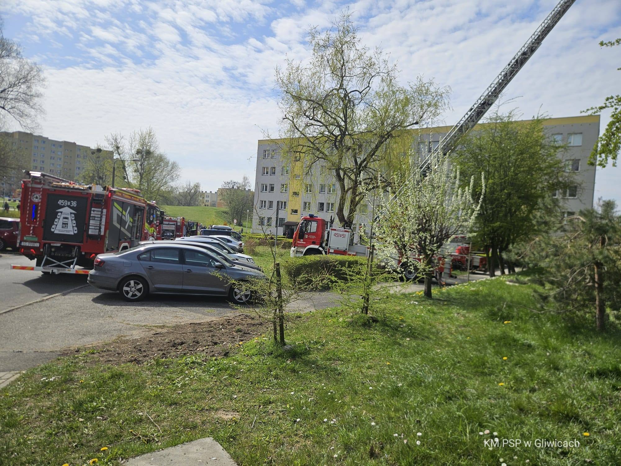 670484888_1393259702942503_5660877656887640617_n