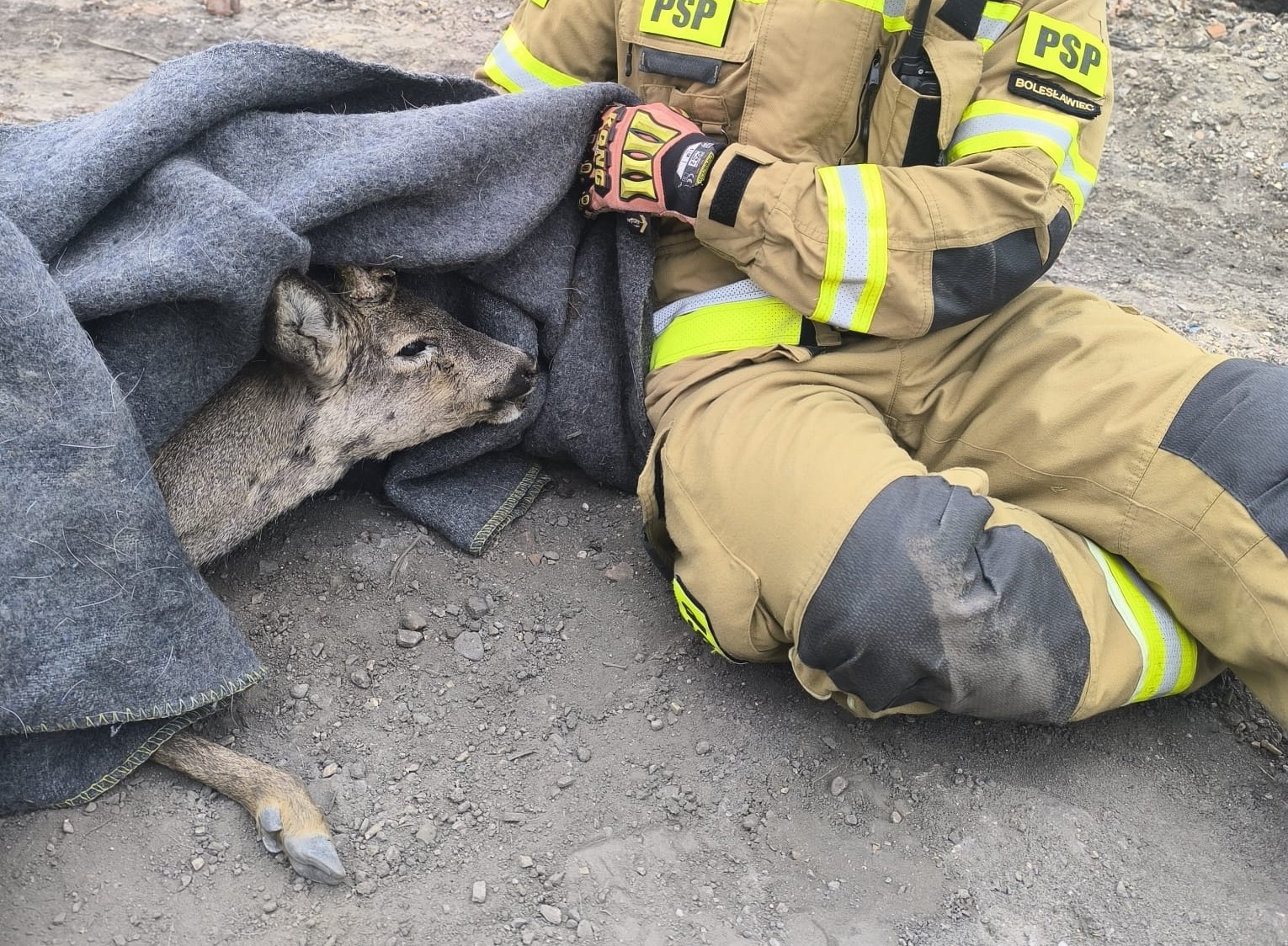 671586214_1268626052082284_6350673925095942697_n