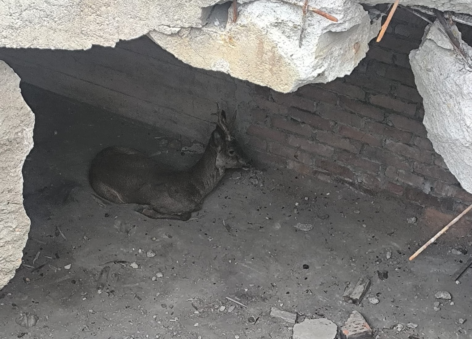 672096911_1268625878748968_853593021448188944_n