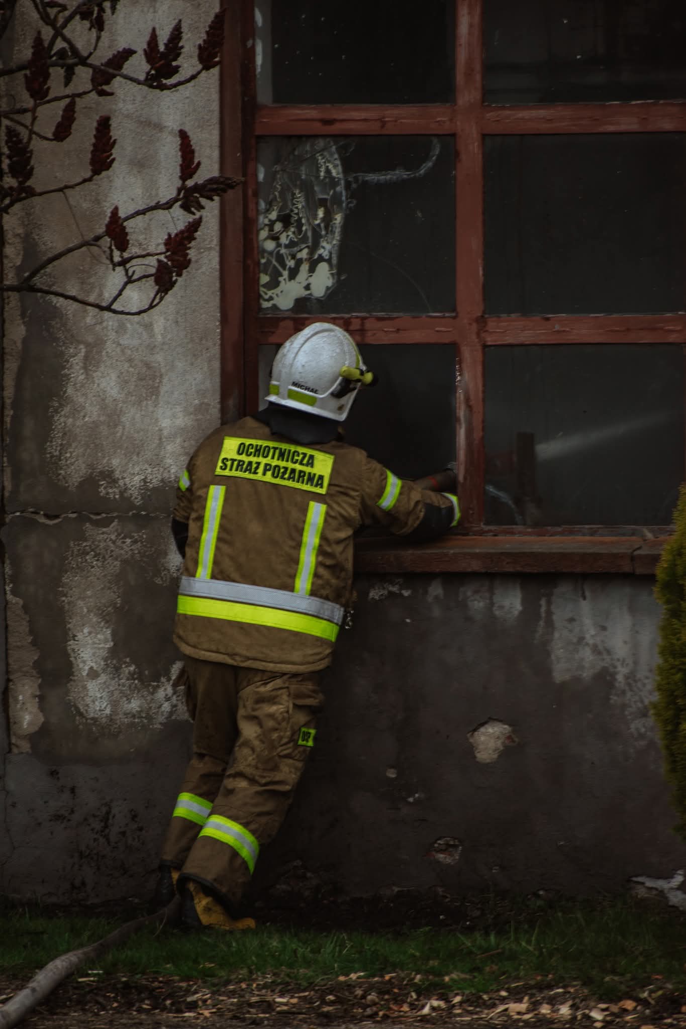 FB_IMG_1775037189419