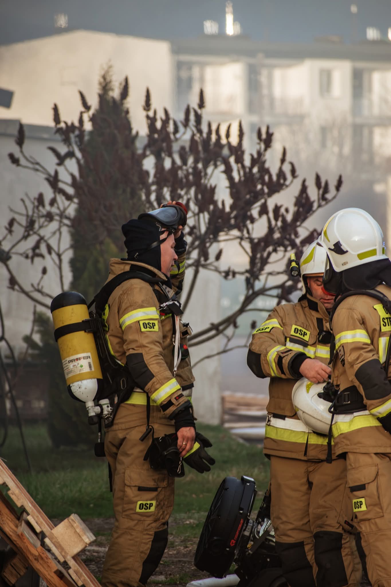 FB_IMG_1775037208125