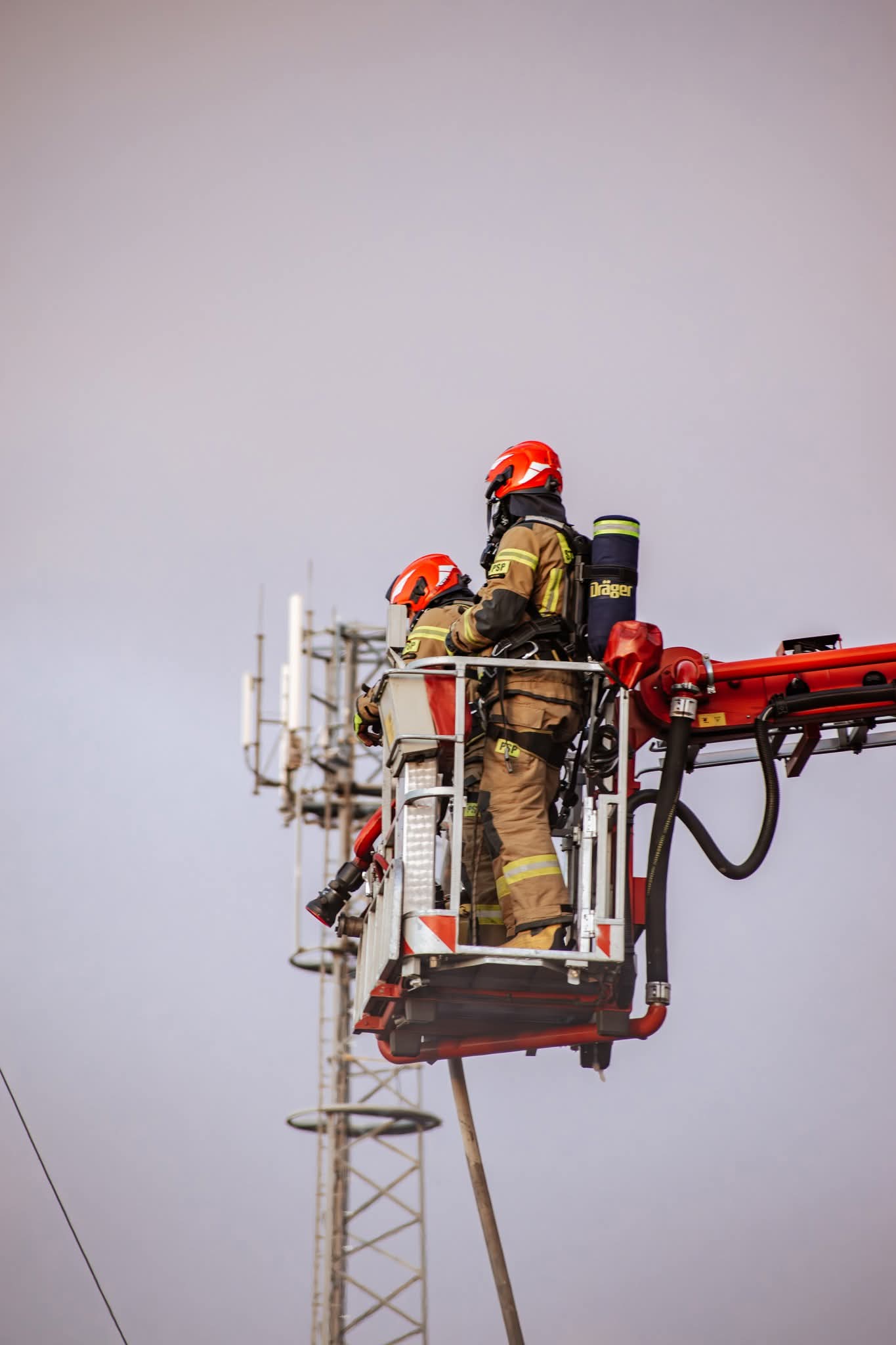 FB_IMG_1775037214018