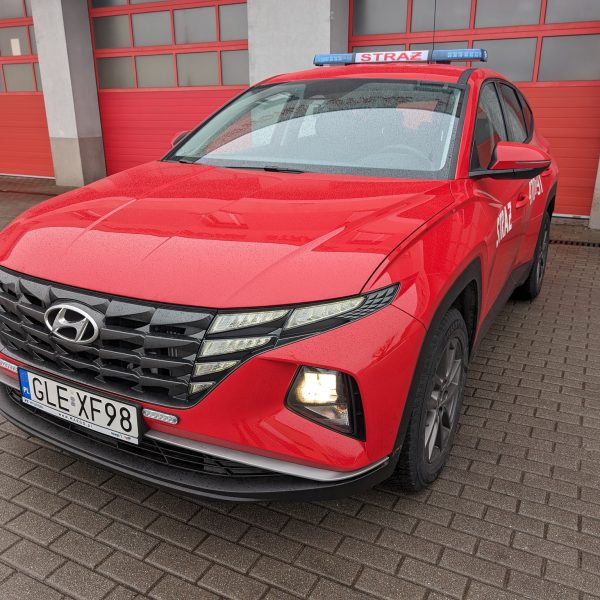 Wybierz PSP inwestuje w nowe samochody. Hybrydy, elektryki i napęd 4×4 PSP inwestuje w nowe samochody. Hybrydy, elektryki i napęd 4×4