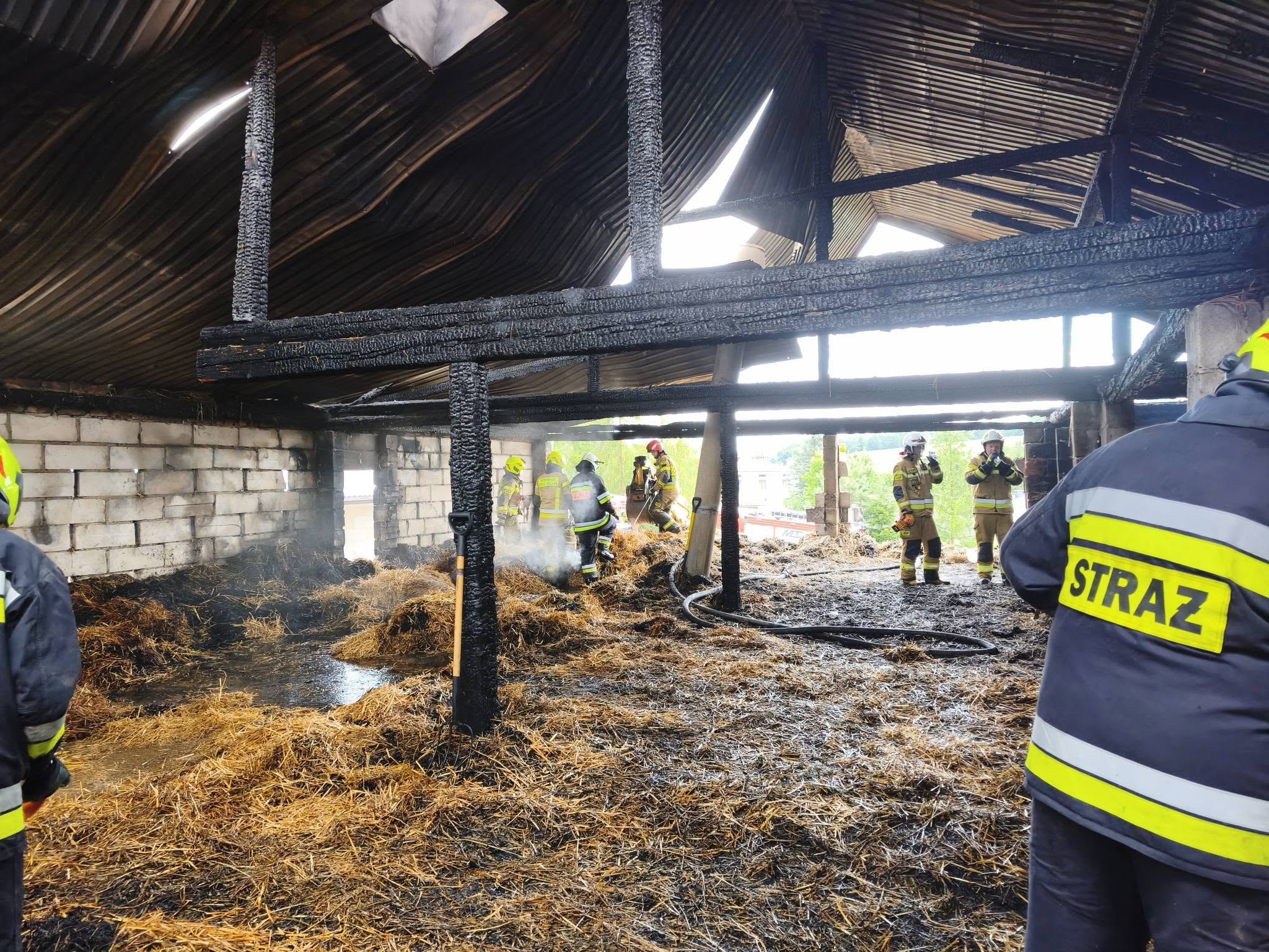 pożar chlewni – w pożarze zginęły zwierzęta 4