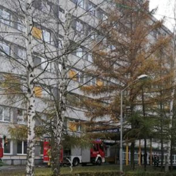 Strażacy opanowali pożar w około 40 minut