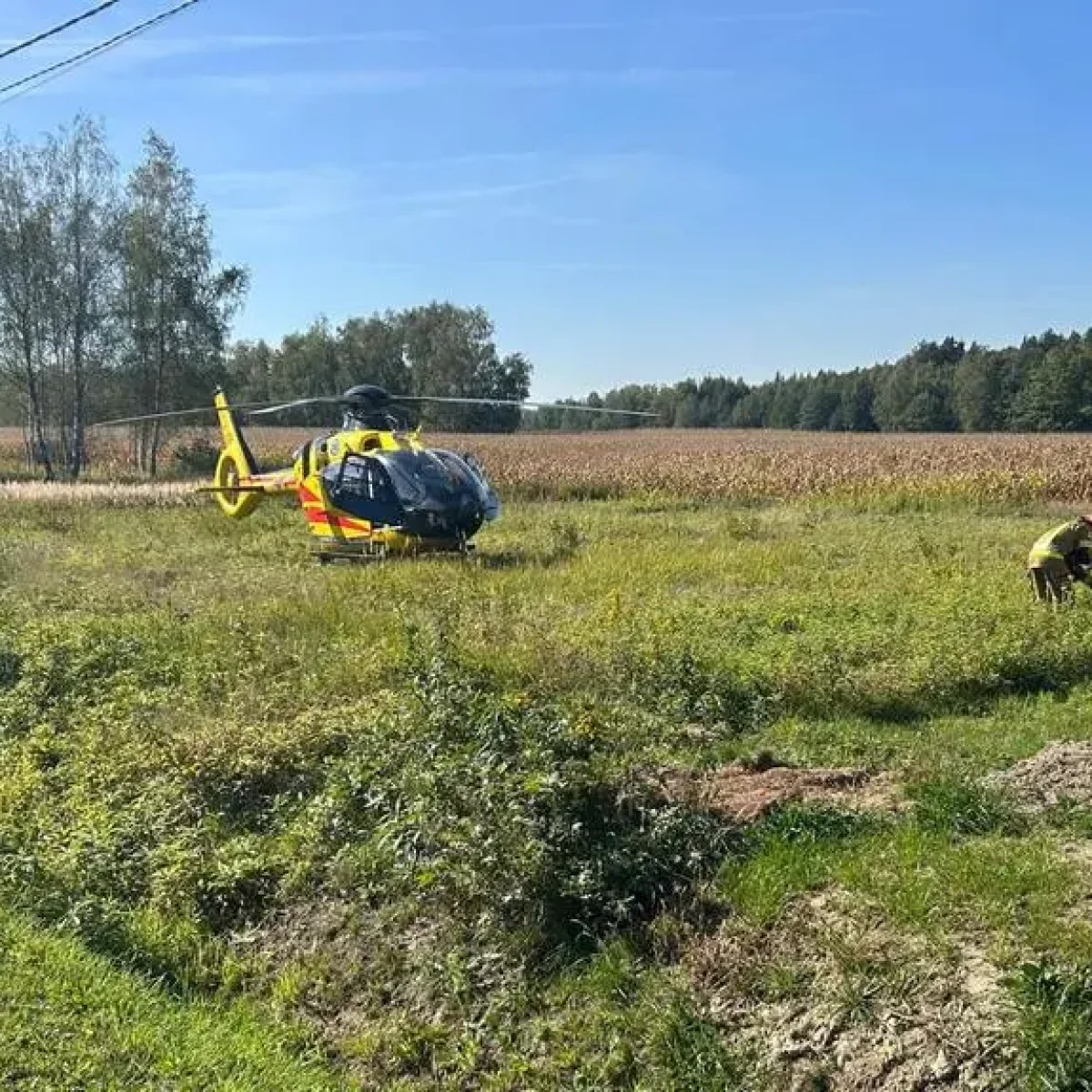 Tragiczny wypadek pod Tarnowem. Wiata runęła na pięcioletnią dziewczynkę. Strażacy ratowali dziecko, prowadzono reanimację. Dziewczynka zmarła.